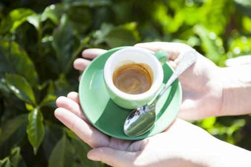 كيفية تخمير القهوة الخضراء لتخفيف الوزن: ثلاث طرق سهلة
